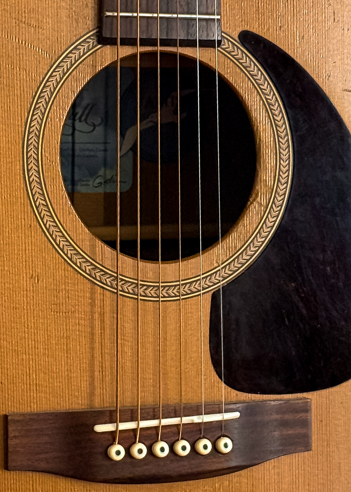 Acoustic Guitar